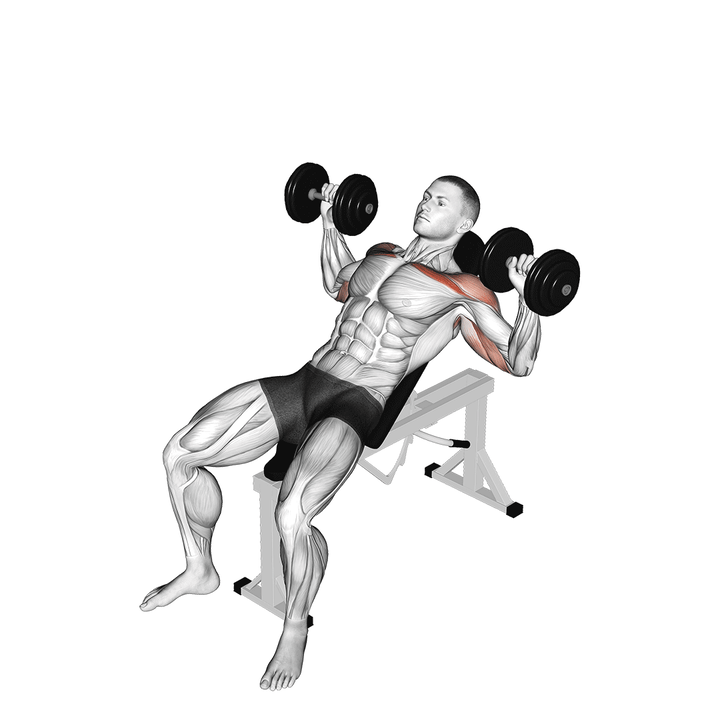 Demonstration of the dumbbell incline alternate press
