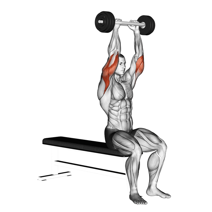 Demonstration of the olympic barbell triceps extension
