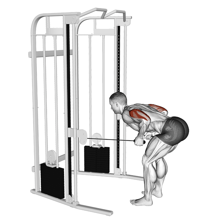 Demonstration of the cable two arm tricep kickback
