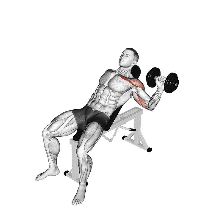 Demonstration of the dumbbell one arm incline chest press