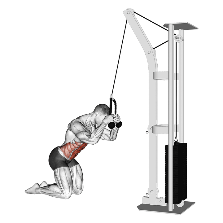 Demonstration of the cable kneeling crunch