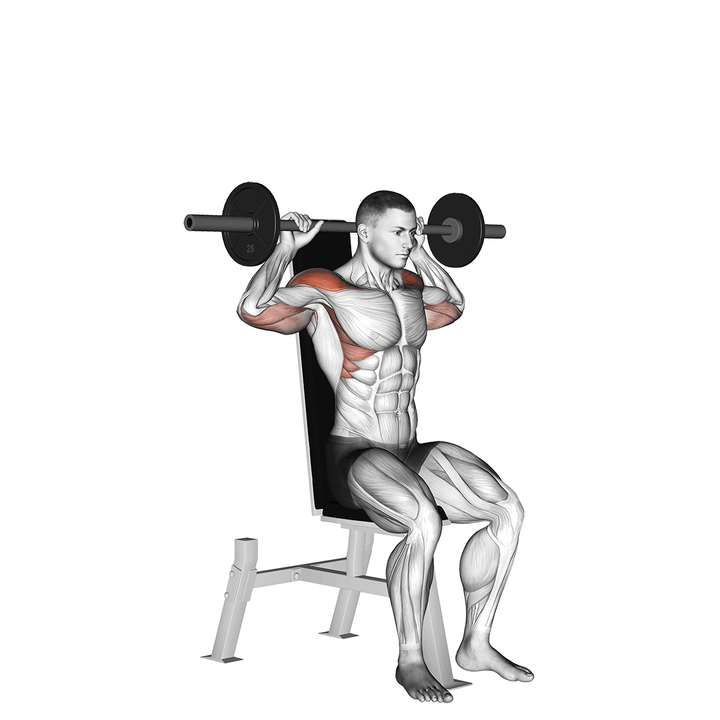 Demonstration of the barbell seated bradford rocky press