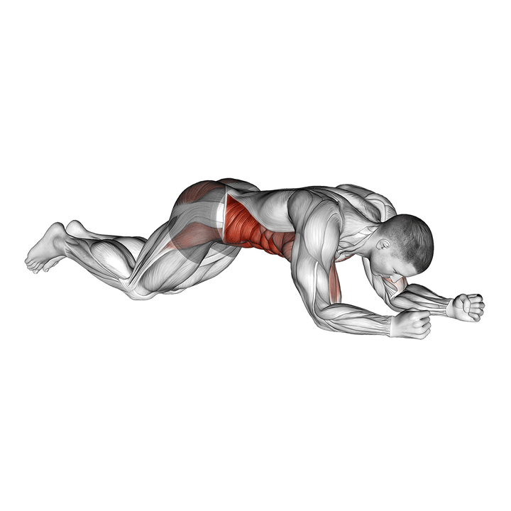 Demonstration of the kneeling plank tap shoulder (male)