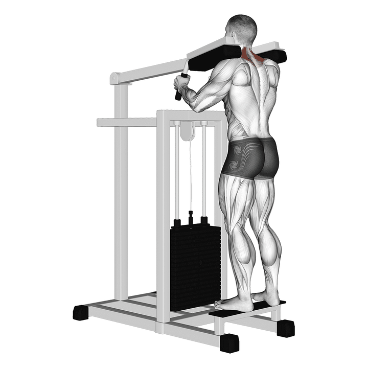 Demonstration of the lever gripless shrug