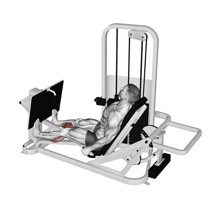 Demonstration of the lever seated calf press