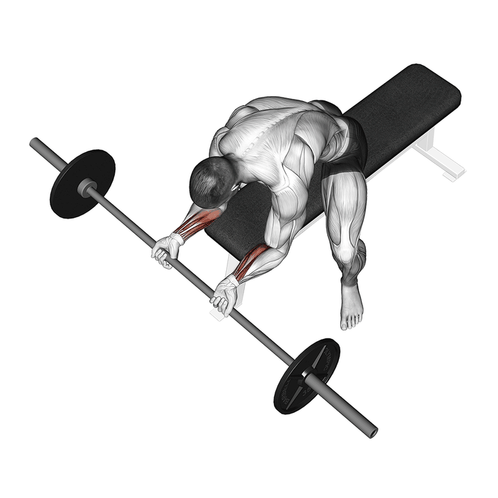 Demonstration of the barbell wrist curl