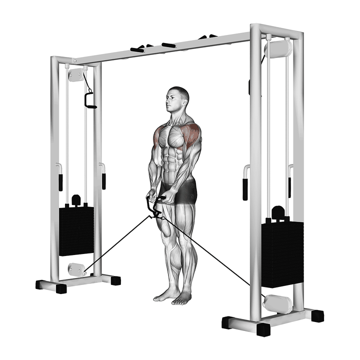 Demonstration of the cable lateral raise