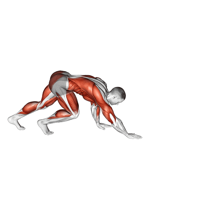 Demonstration of the bear crawl