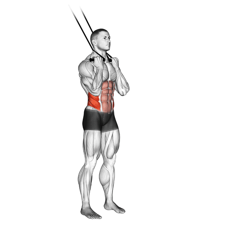 Demonstration of the band standing twisting crunch