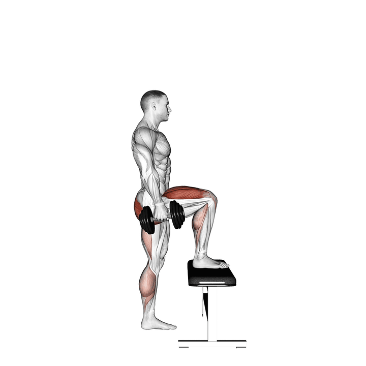 Demonstration of the dumbbell step-up