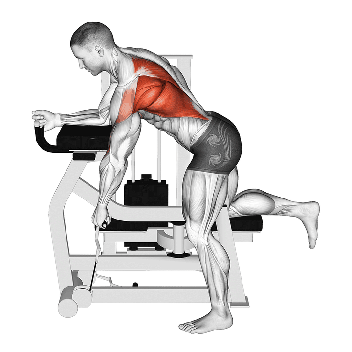 Demonstration of the lever unilateral row