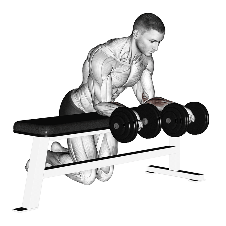 Demonstration of the dumbbell over bench reverse wrist curl