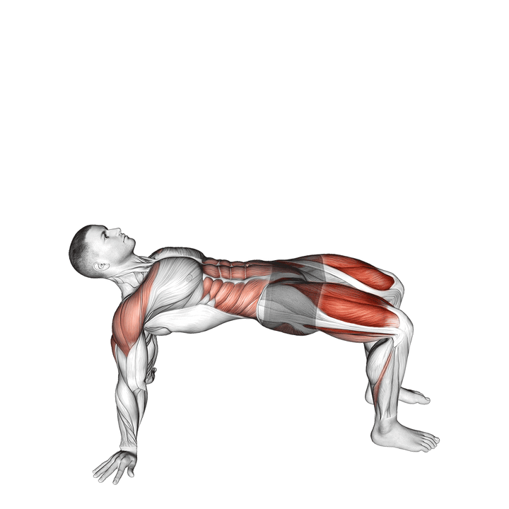 Demonstration of the reverse plank with leg lift