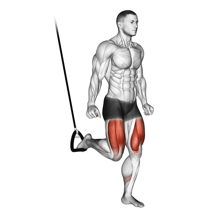 Demonstration of the suspended split squat partial