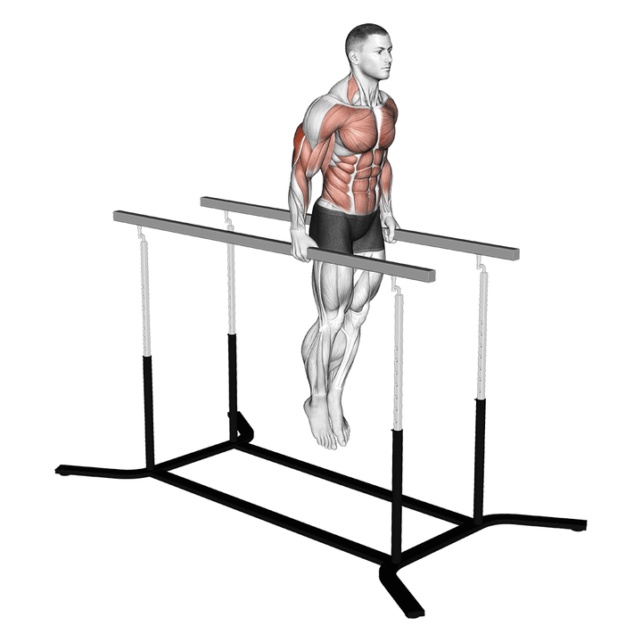 Demonstration of the elbow dips