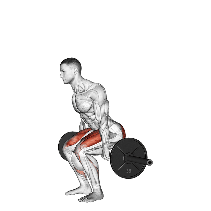 Demonstration of the barbell hack squat