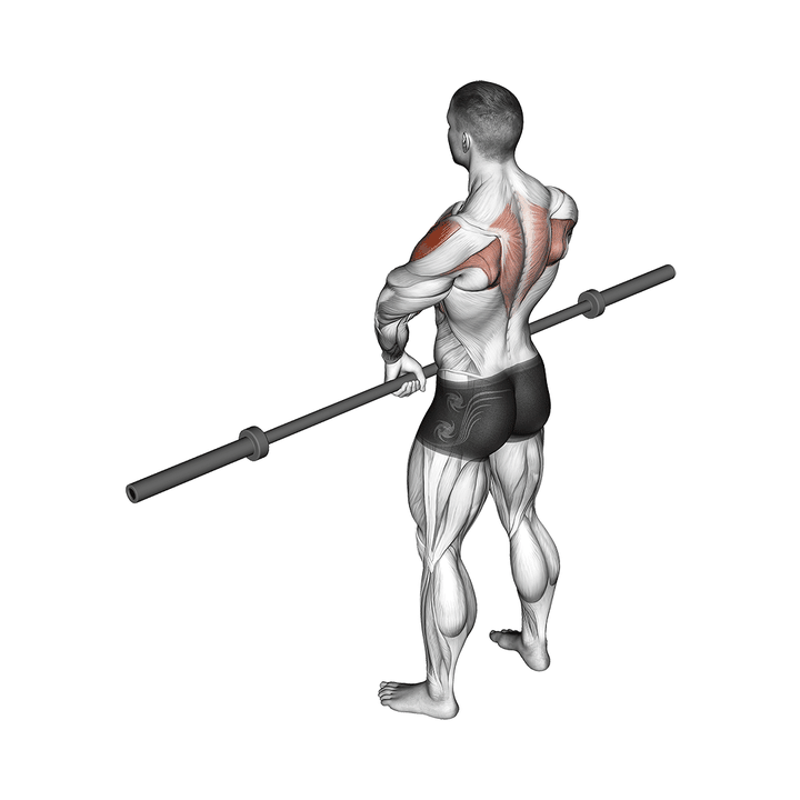 Demonstration of the barbell upright row v. 3