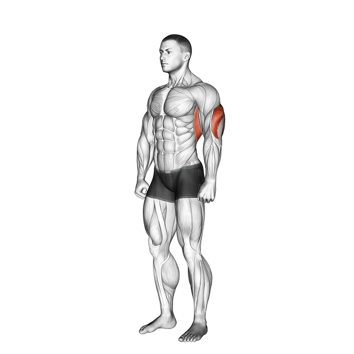 Demonstration of the overhead triceps stretch