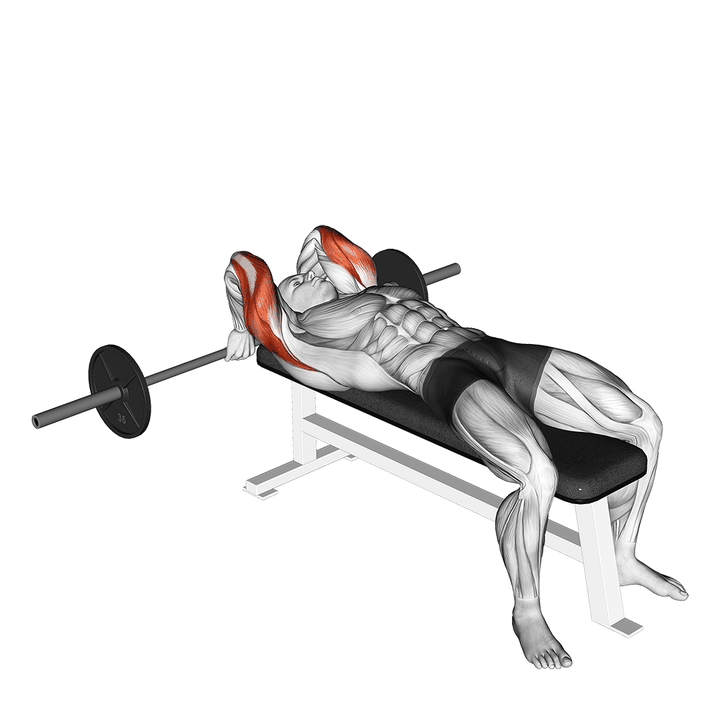 Demonstration of the barbell lying back of the head tricep extension