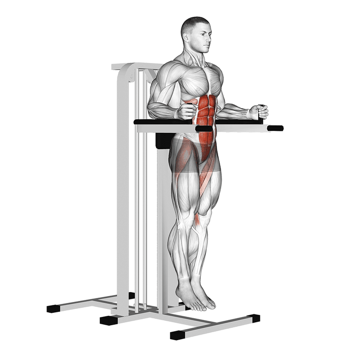 Demonstration of the vertical leg raise (on parallel bars)