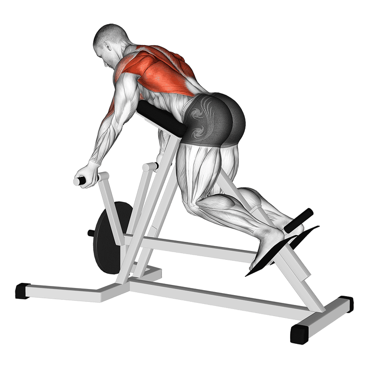 Demonstration of the lever reverse t-bar row