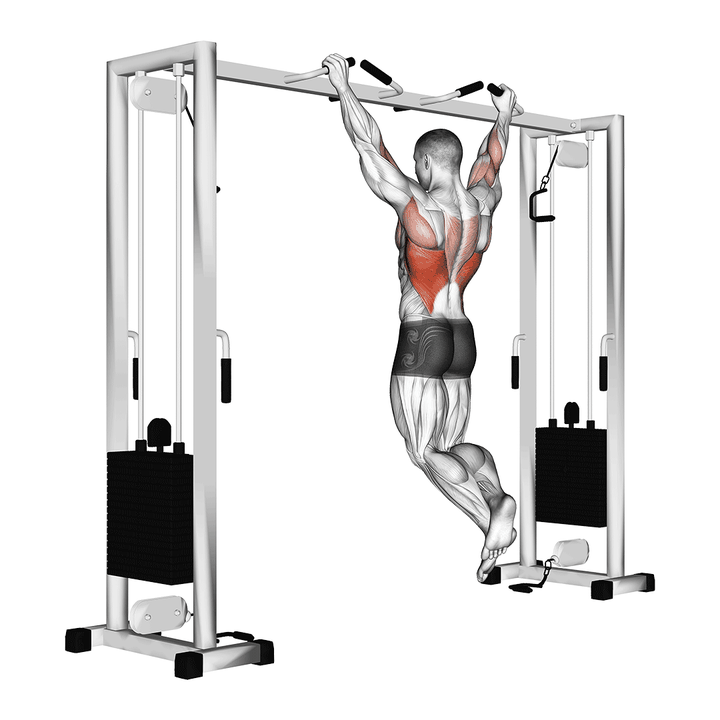 Demonstration of the pull up (neutral grip) with seated