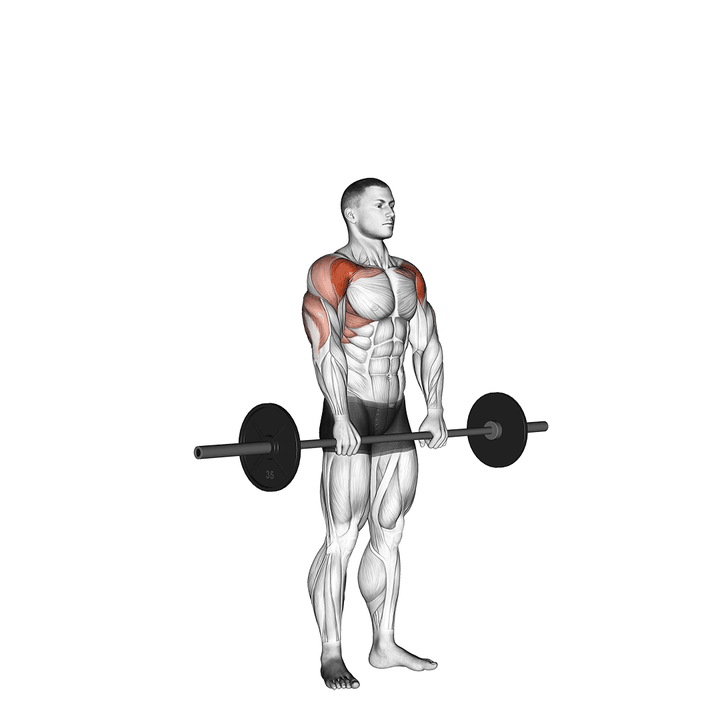 Demonstration of the barbell standing front raise over head