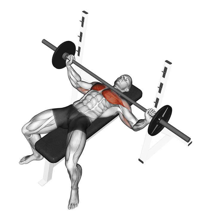 Demonstration of the barbell wide bench press