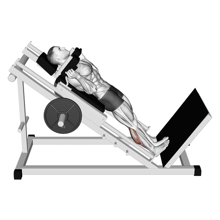Demonstration of the hack calf raise