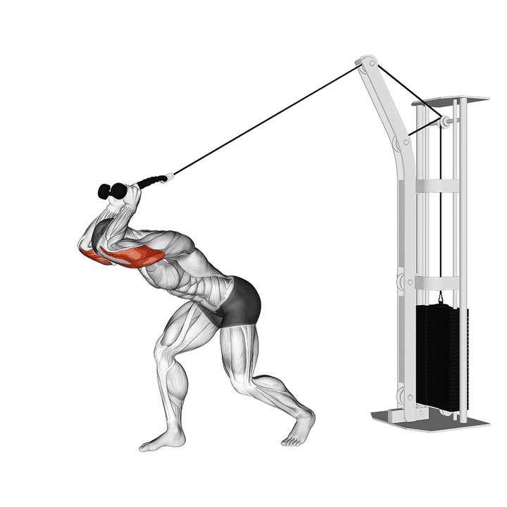 Demonstration of the cable high pulley overhead tricep extension