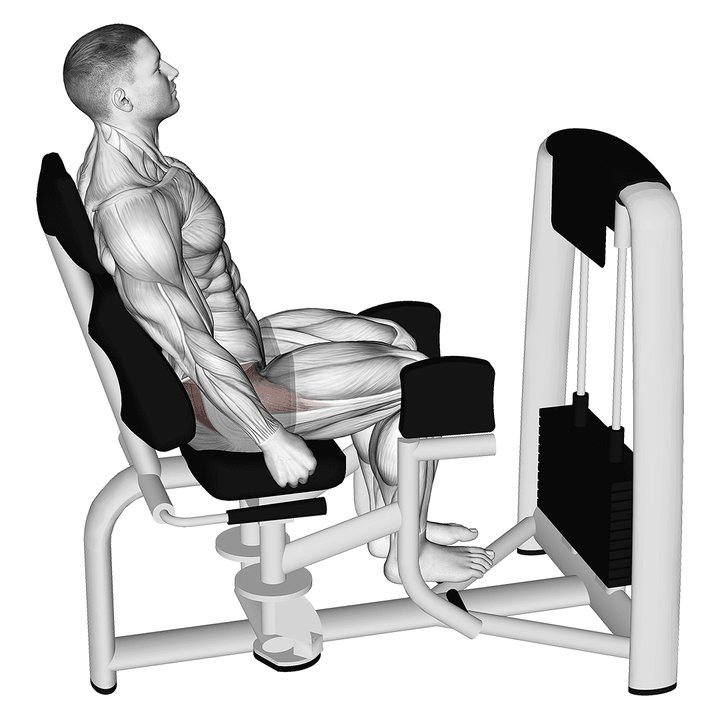 Demonstration of the lever seated hip abduction