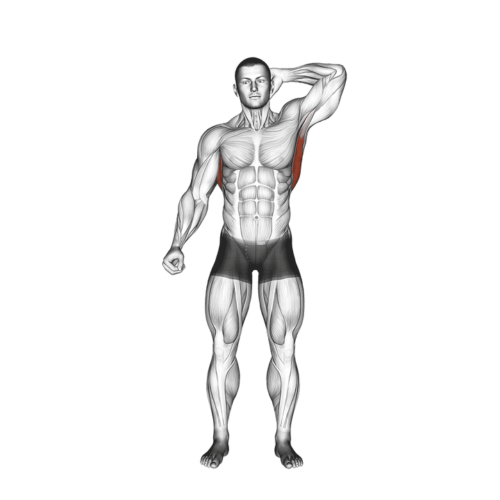 Demonstration of the standing lateral stretch