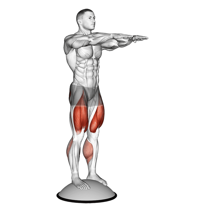 Demonstration of the squat on bosu ball prone