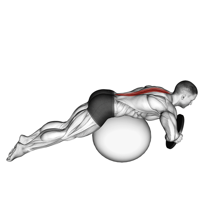 Demonstration of the weighted hyperextension (on stability ball)