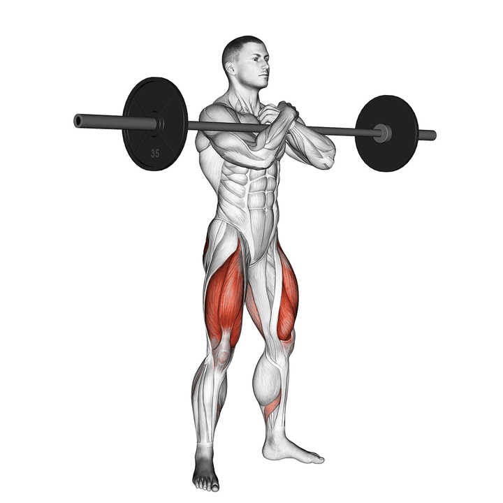 Demonstration of the barbell zercher squat