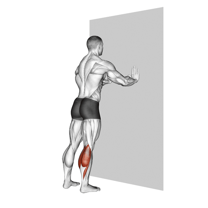 Demonstration of the standing calves