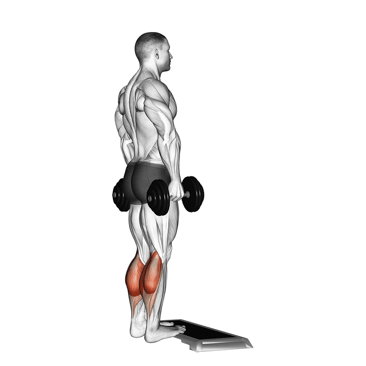 Demonstration of the dumbbell standing calf raise