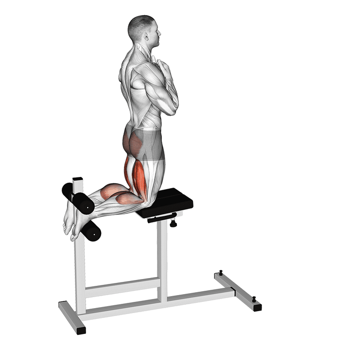 Demonstration of the glute-ham raise