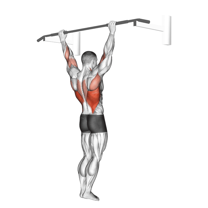 Demonstration of the wide grip pull-up