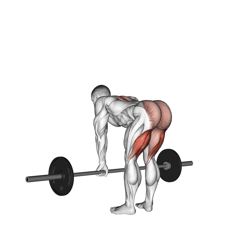 Demonstration of the barbell straight leg deadlift