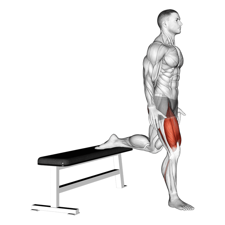 Demonstration of the quads (bodyweight squat)