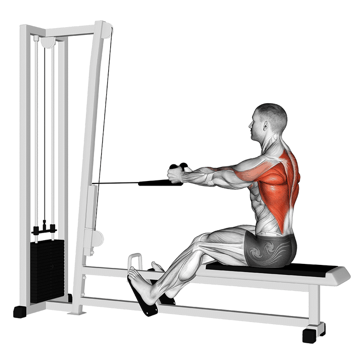 Demonstration of the cable rope seated row with gentle