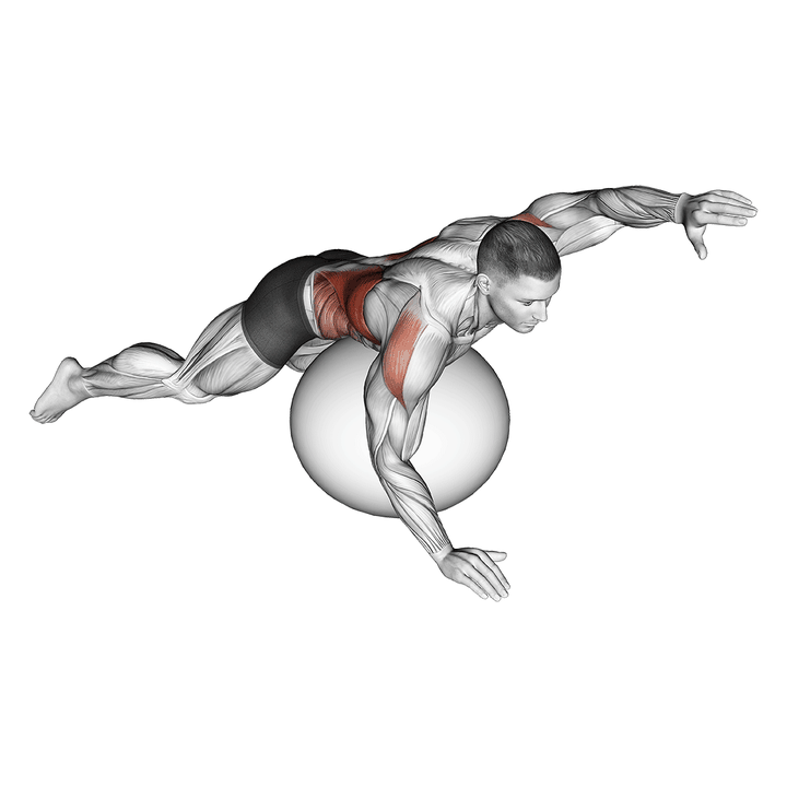Demonstration of the exercise ball alternating arm ups