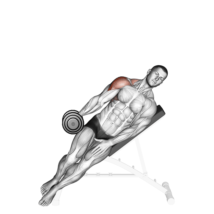 Demonstration of the dumbbell incline one arm lateral raise