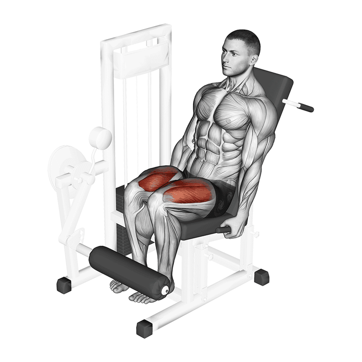 Demonstration of the leg extension