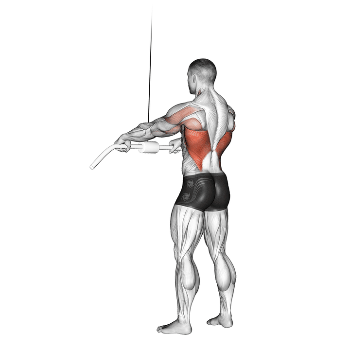 Demonstration of the cable straight arm pulldown