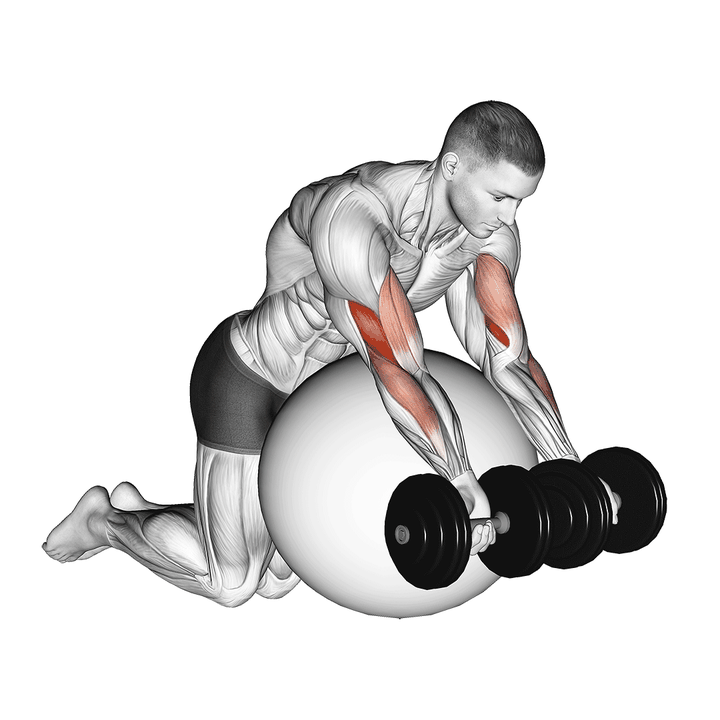 Demonstration of the dumbbell preacher curl over exercise ball