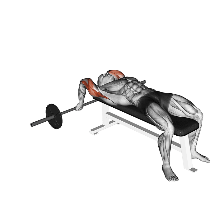 Demonstration of the barbell lying close-grip triceps extension