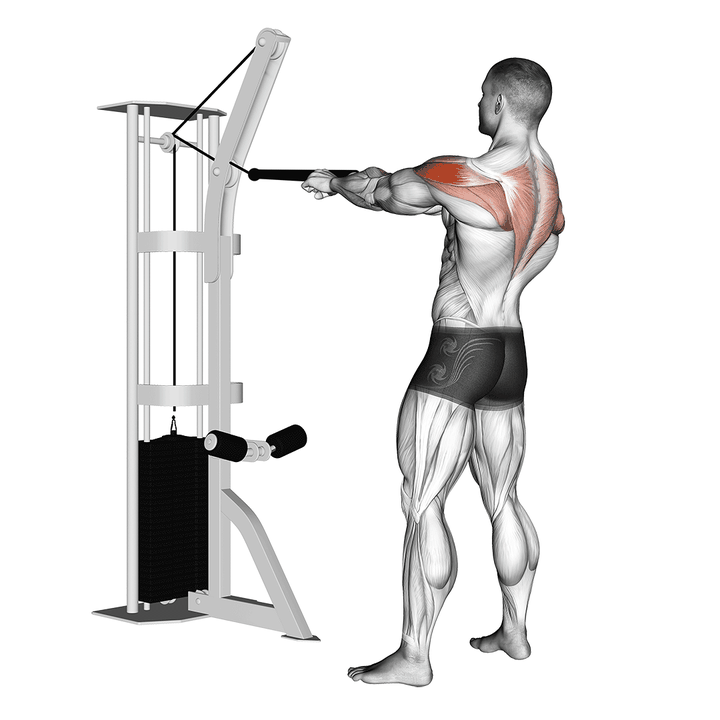 Demonstration of the cable standing rear delt row (with rope)