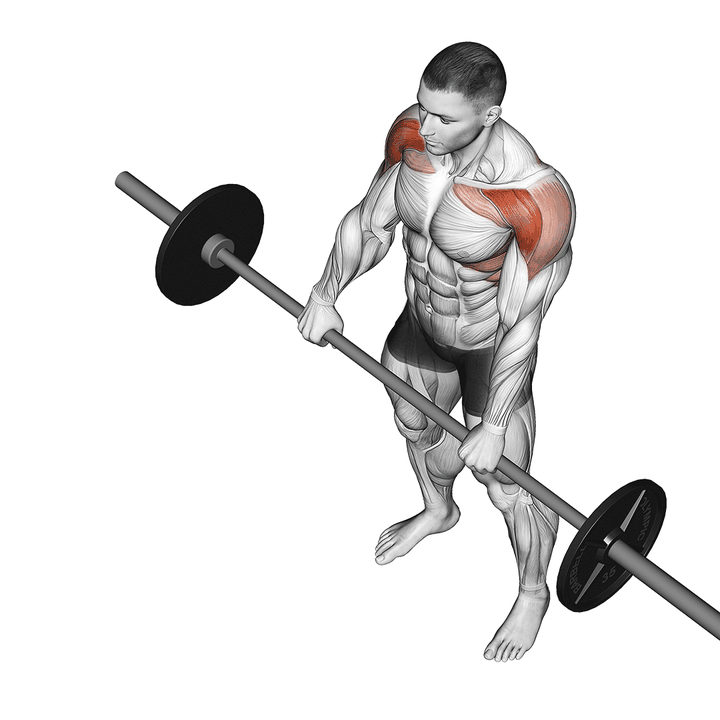 Demonstration of the barbell front raise